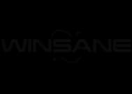 Winsane logo
