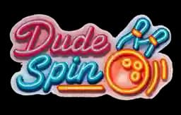 DudeSpin logo