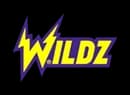 Wildz logo