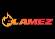 Flamez logo